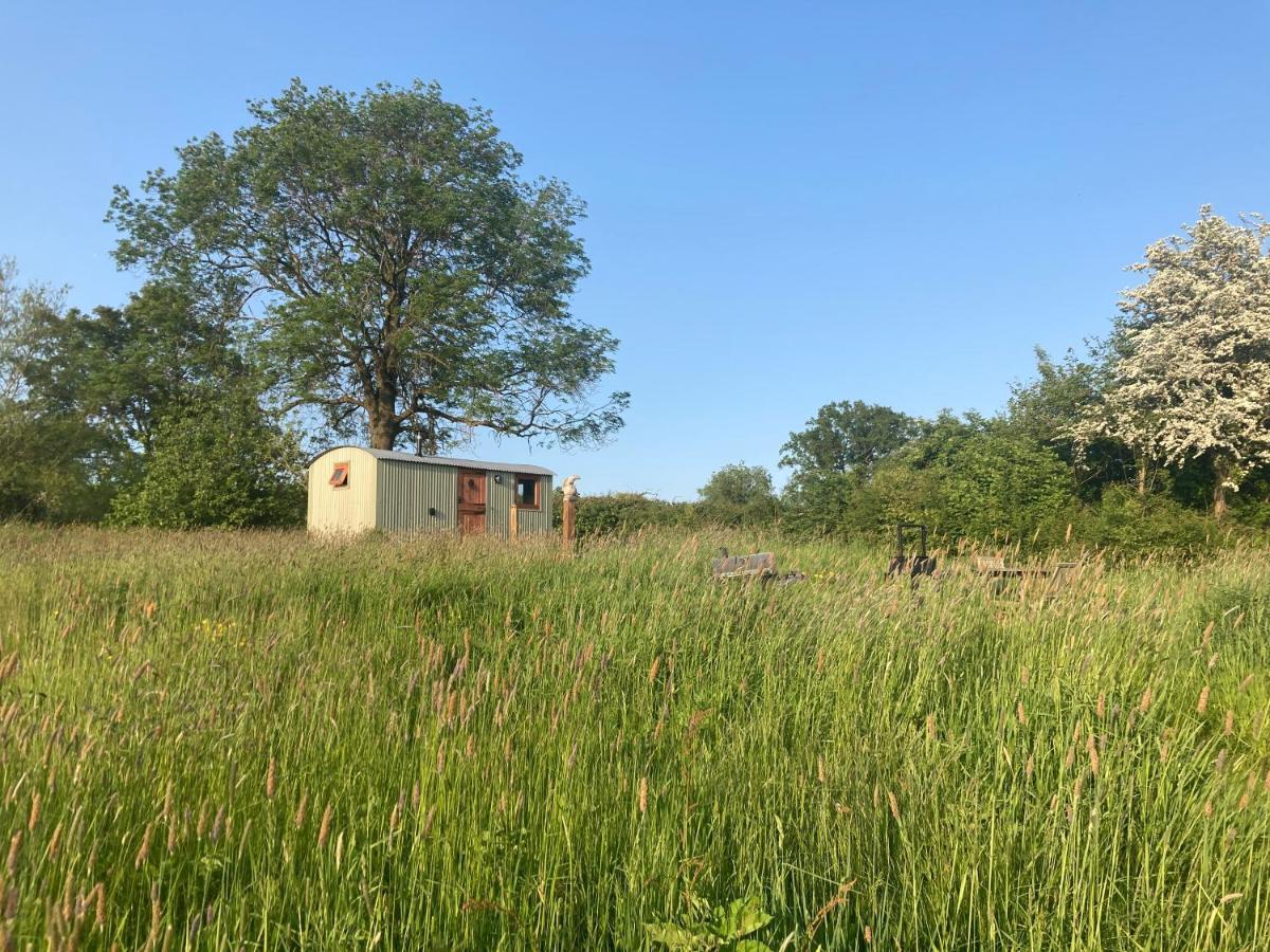 The Dragon's Hut With Seasonal Swimming Pool *