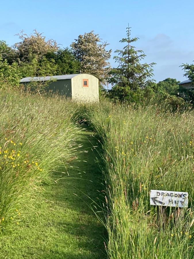 The Dragon's Hut With Seasonal Swimming Pool * Wrexham