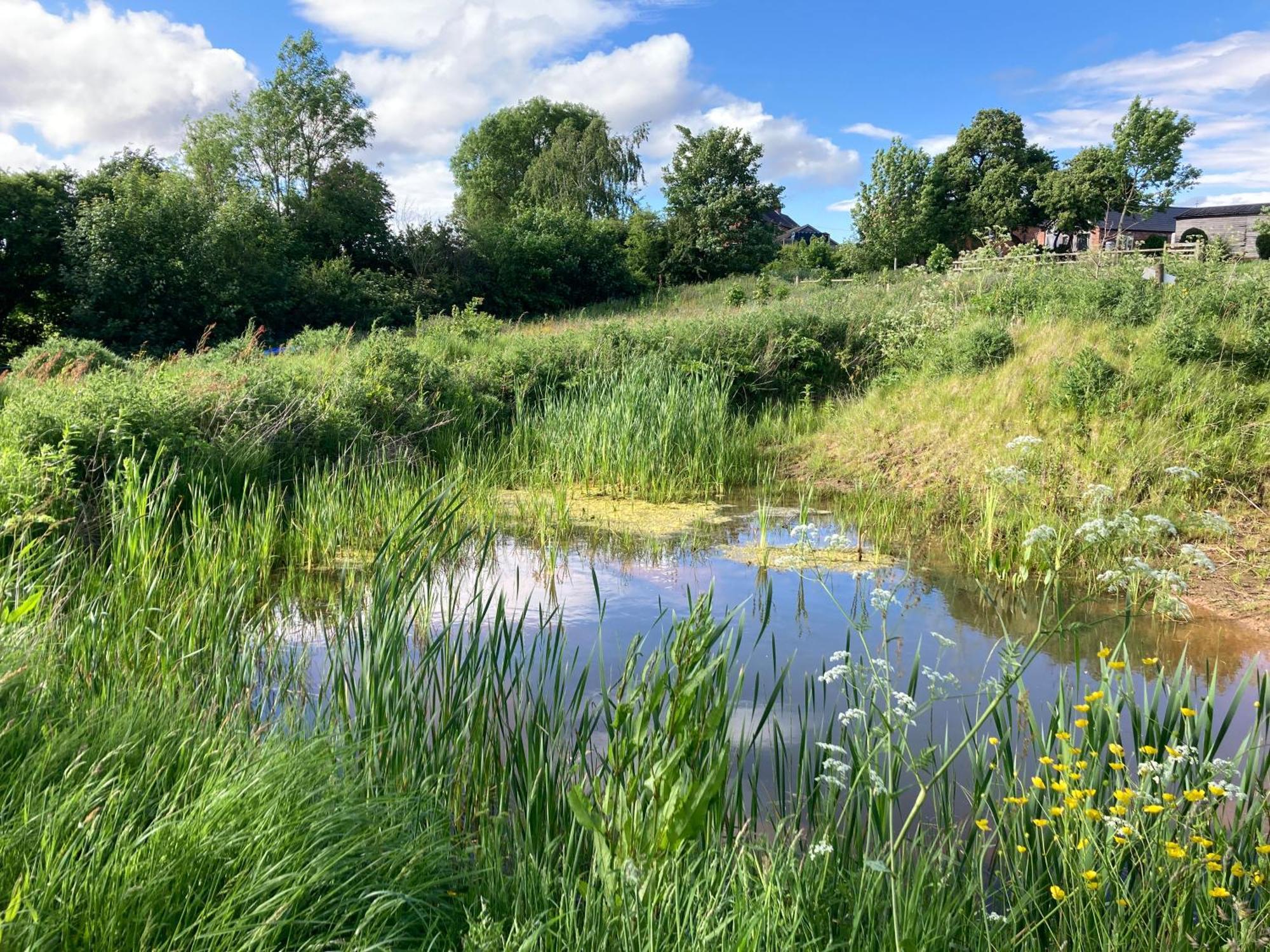 The Dragon's Hut With Seasonal Swimming Pool * Wrexham